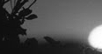 'One luminary clock against the sky // Proclaimed the time was neither wrong nor right. / I have been one acquainted with the night.' -- Robert Frost